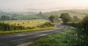 Tour de France Wetten 2026 in Deutschland – Anbieter, Quoten, Kosten